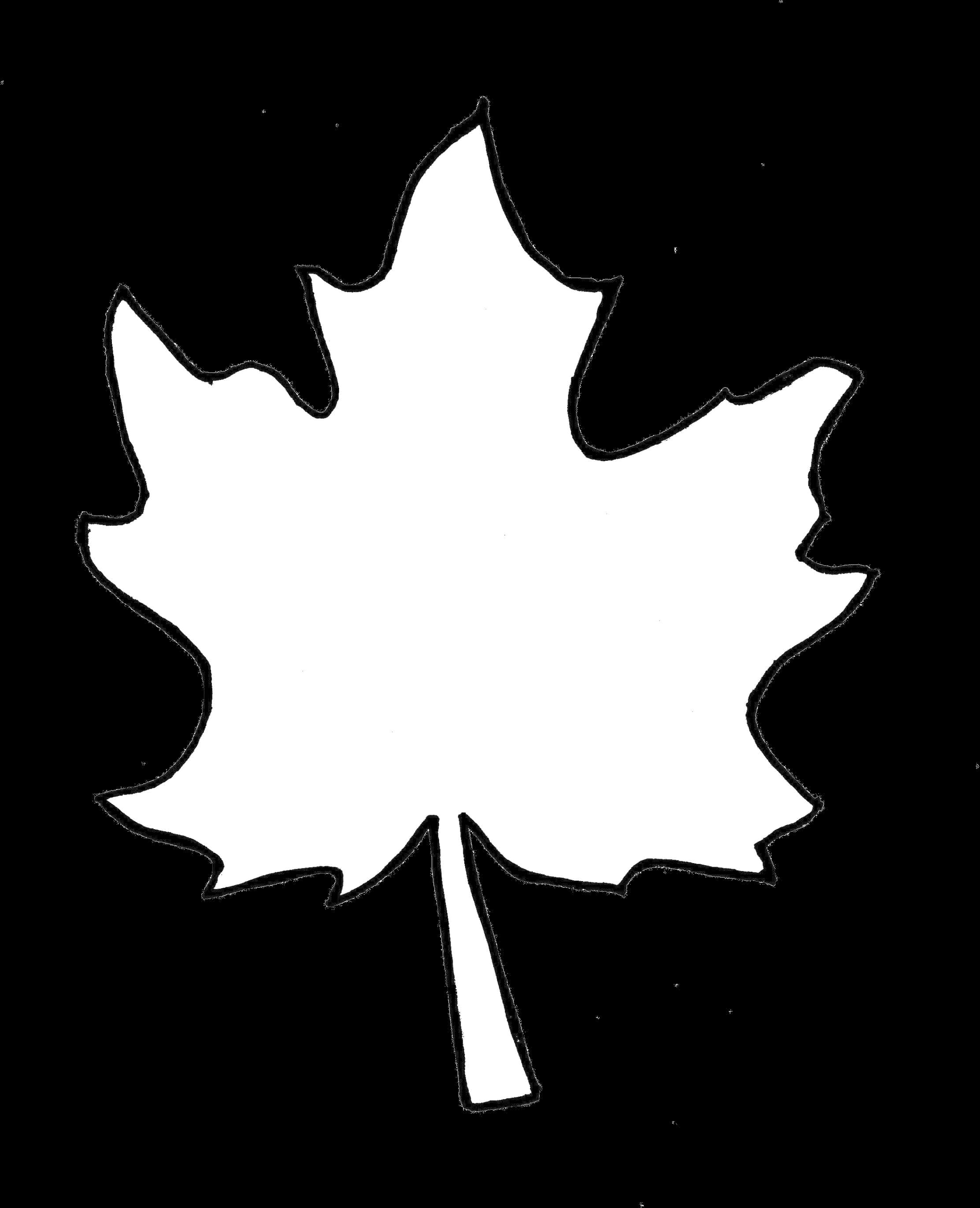 Monochrome Maple Leaf Silhouette