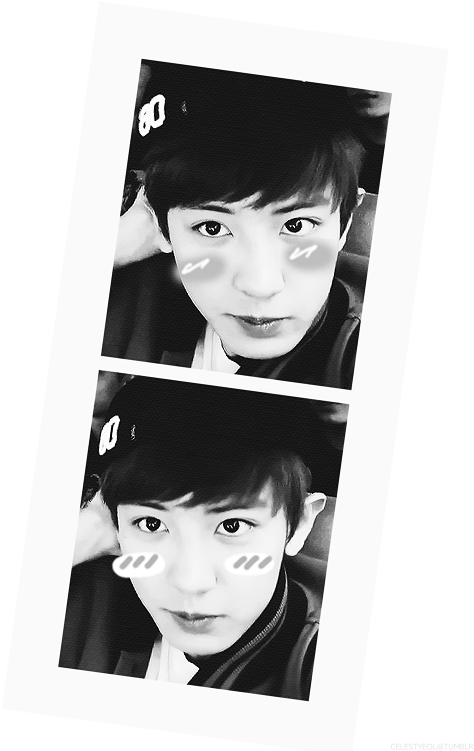 Monochrome Selfie Strip Chanyeol