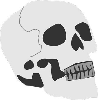 Monochrome Skull Illustration