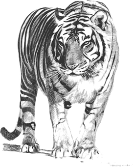 Monochrome Tiger Art