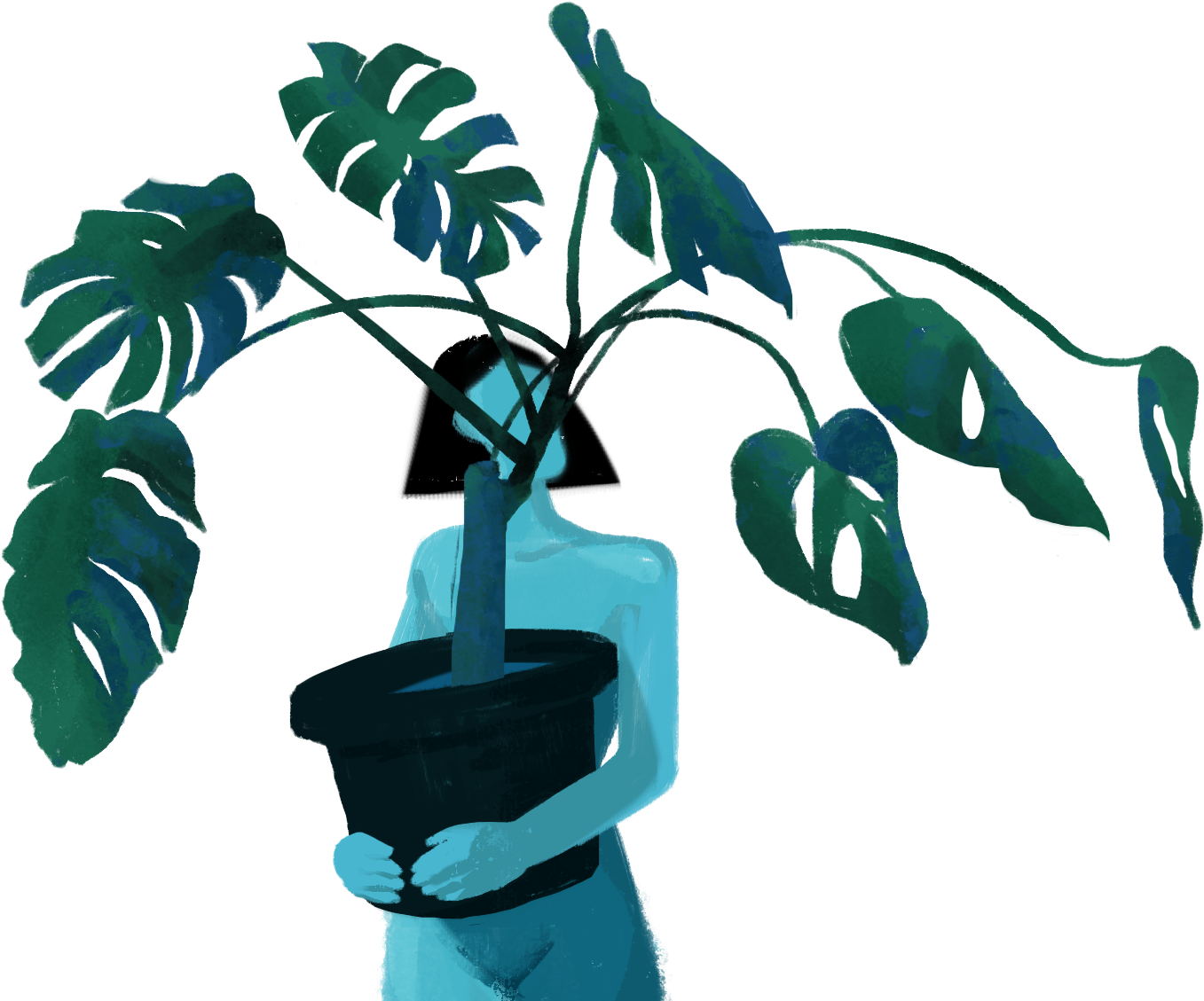 Monstera Deliciosa Indoor Plant Illustration