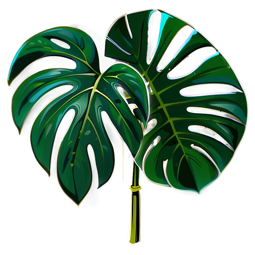 Monstera Deliciosa Vector Png Aal1