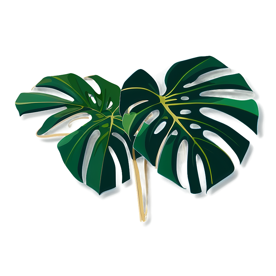 Monstera Leaf Flat Design Png 05232024