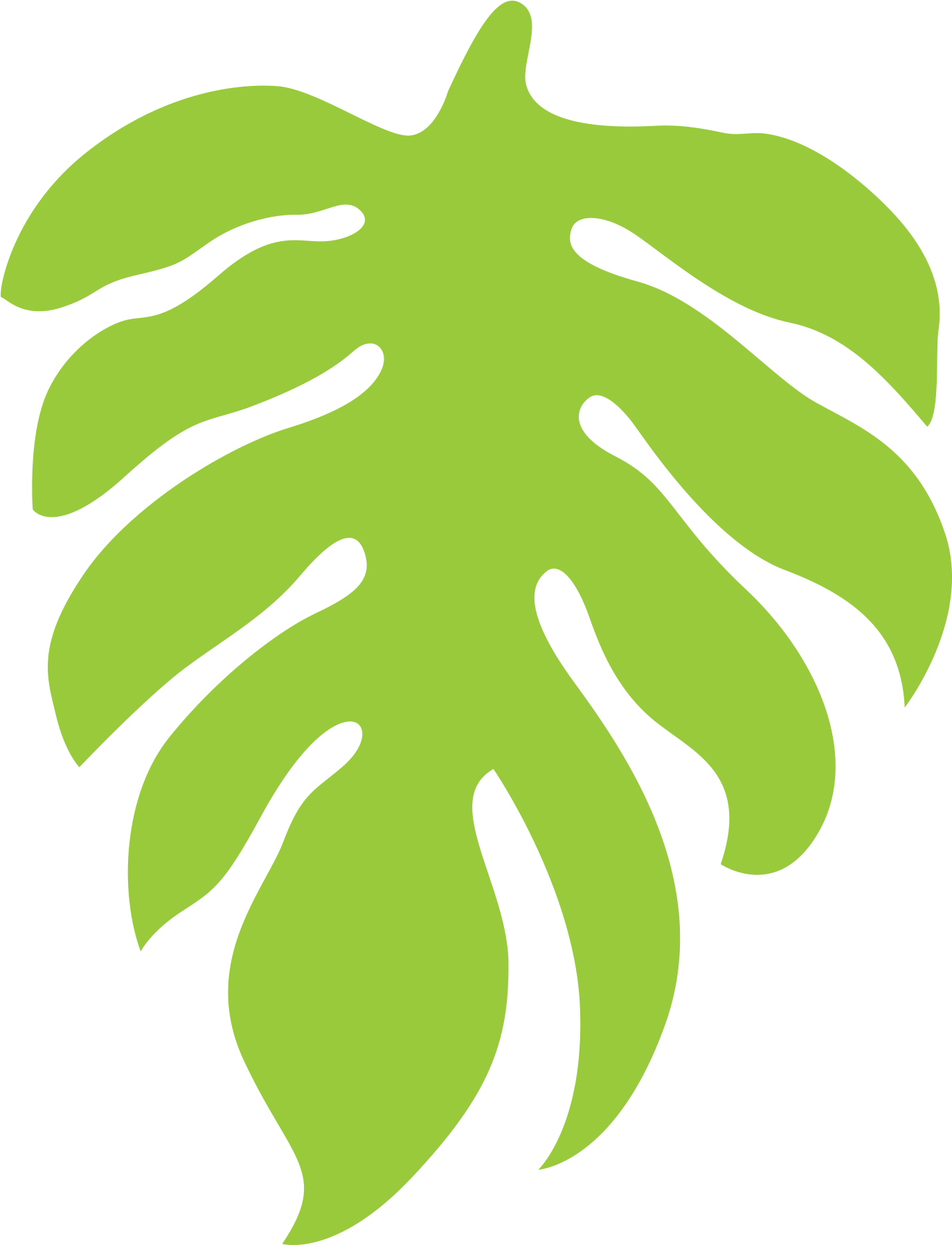 Monstera Leaf Vector Illustration