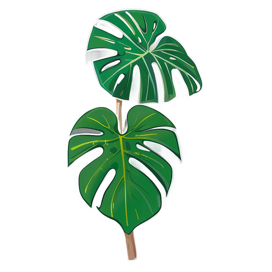 Monstera Outline Graphic Png 05232024