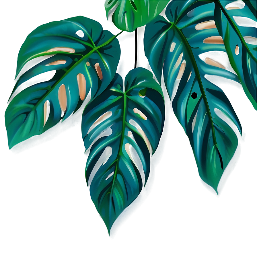 Monstera Plant In Wild Png Uah70