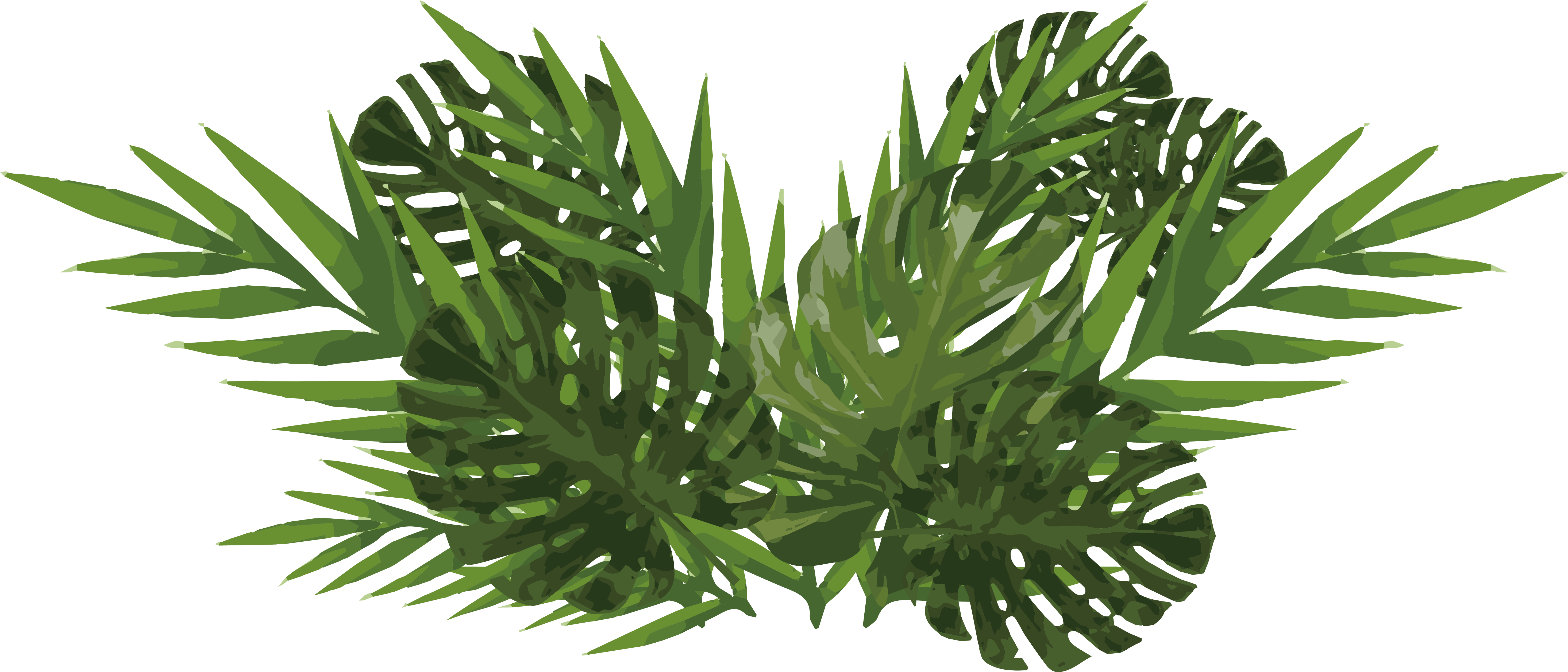 Monsteraand Palm Leaves Illustration