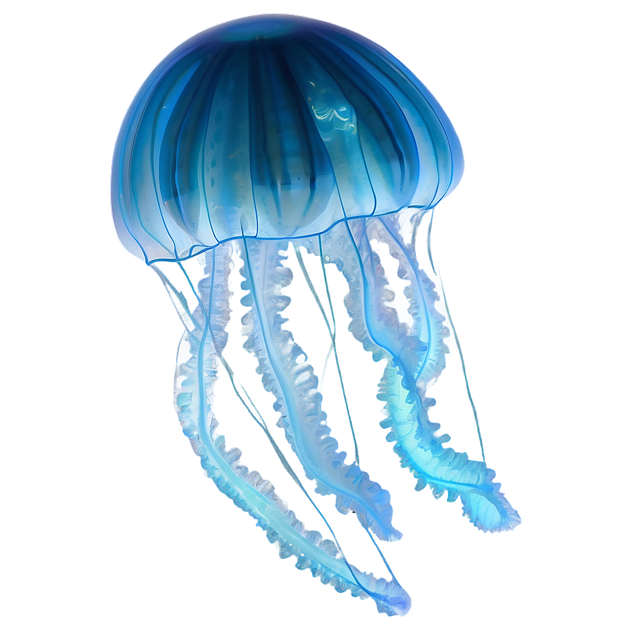 Moon Jelly In Night Sea Png Ndc63