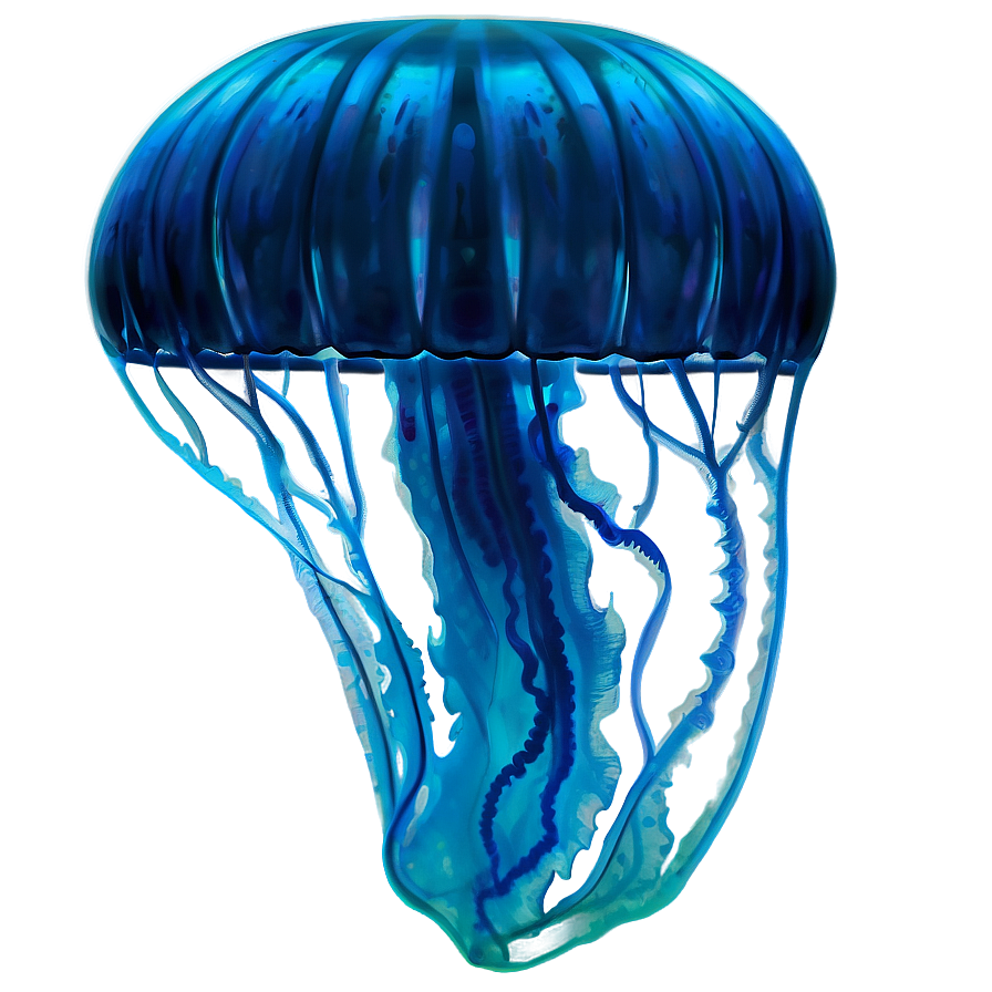 Moon Jelly Underwater Beauty Png Wgf52