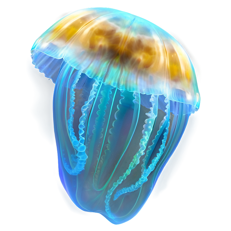 Moon Jelly With Aquatic Glow Png Ymp