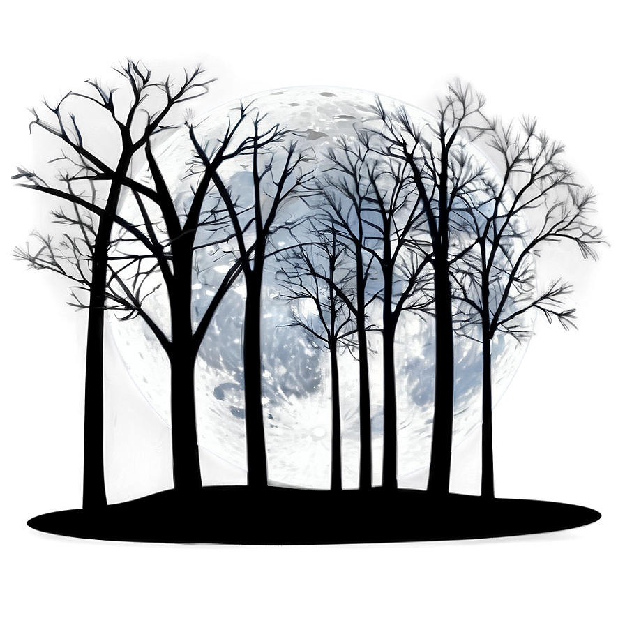 Moonlit Silhouette Trees Png 05042024