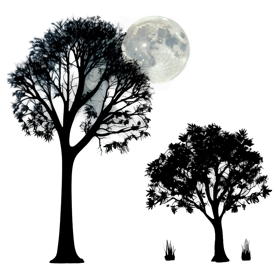 Moonlit Silhouette Trees Png Gwp47