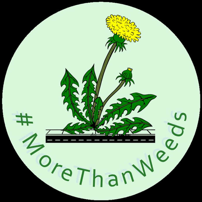 More Than Weeds_ Campaign_ Logo