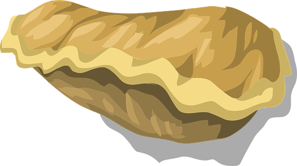 Morel Mushroom Vector Illustration