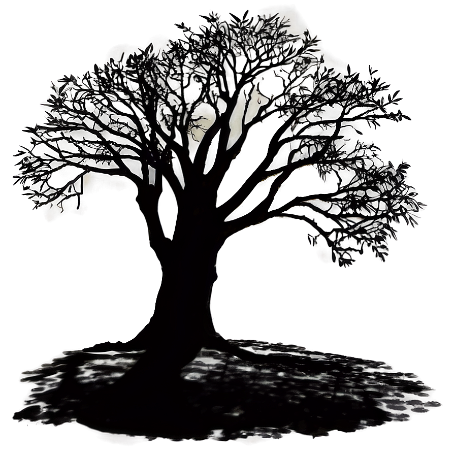 Morning Tree Shadow Png 19