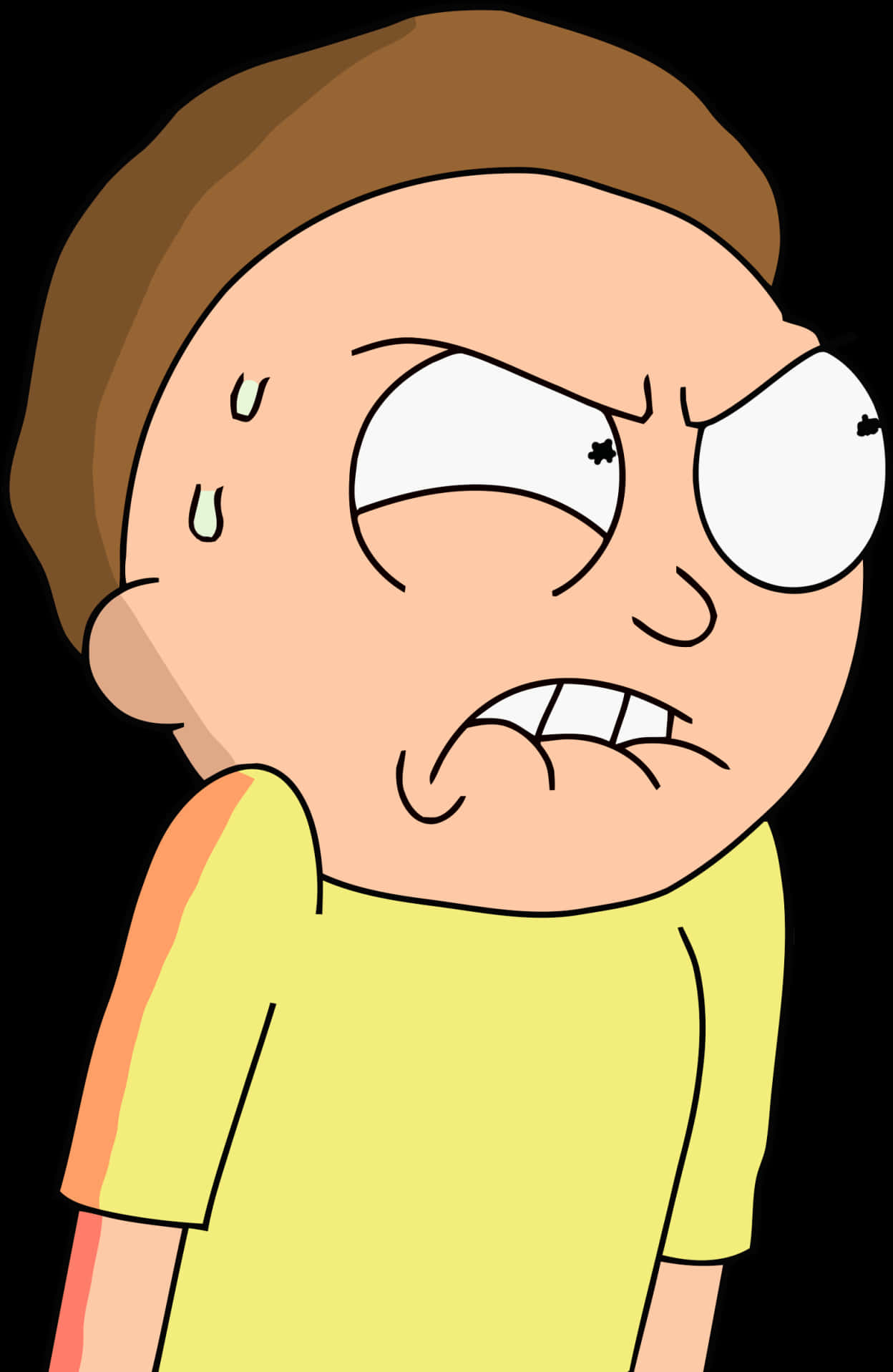 Morty_ Smith_ Confused_ Expression
