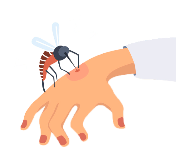 Mosquito Biting Hand Illustration