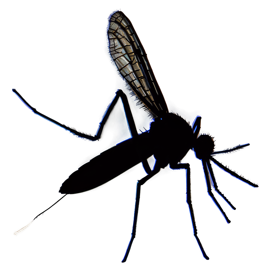 Mosquito Silhouette Png Ogp