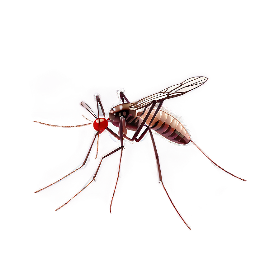 Mosquito With Transparent Background Png Xfy