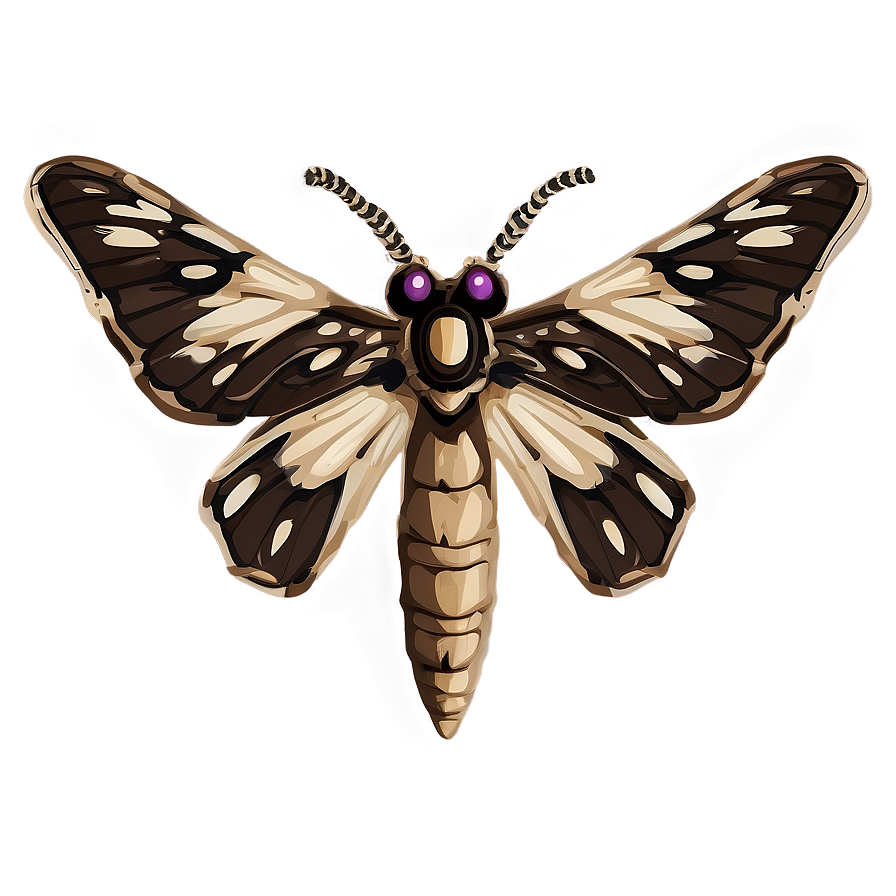 Moth Symbolism Png 05242024