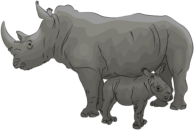 Motherand Baby Rhinoceros Illustration