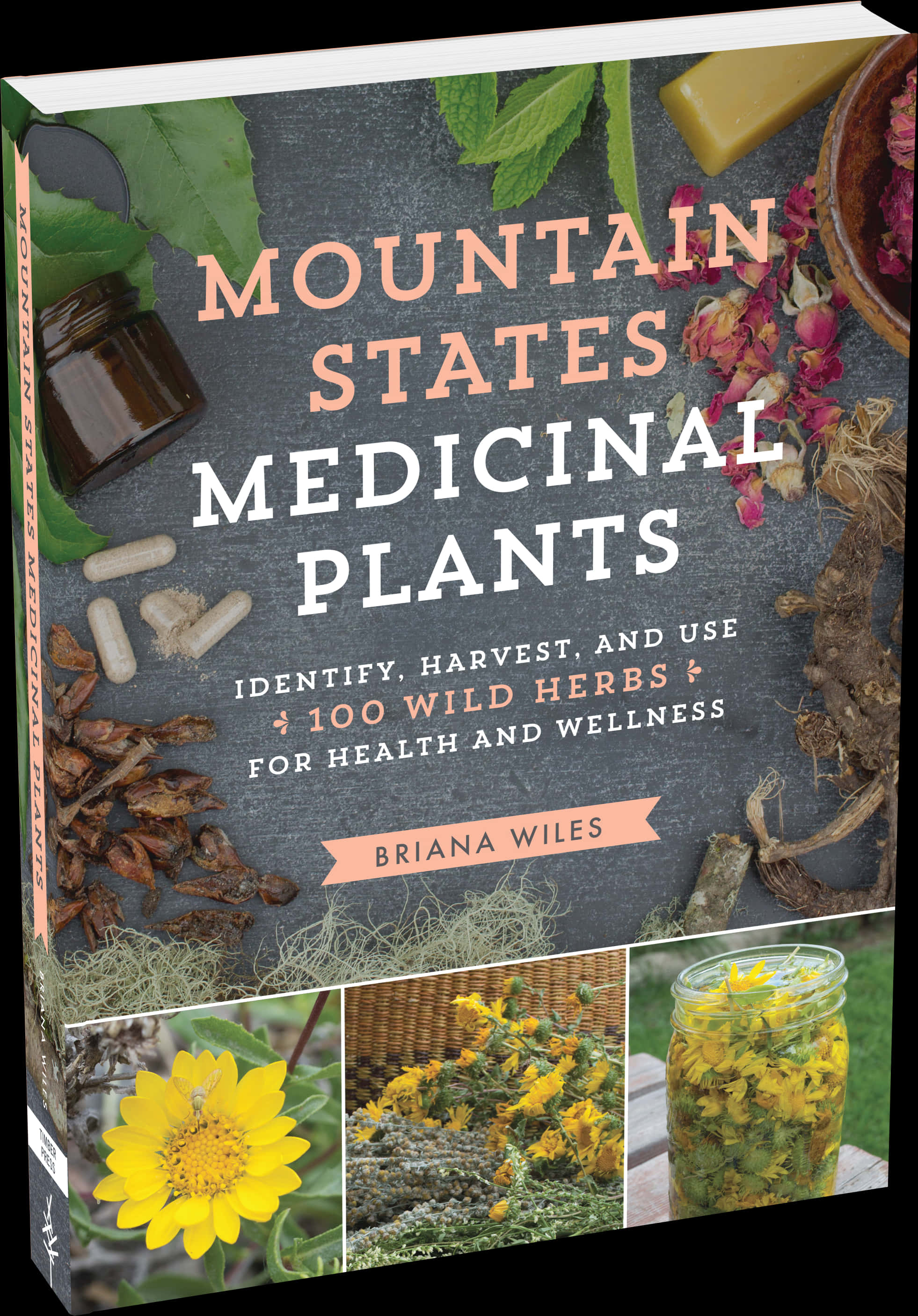 Mountain States Medicinal Plants Book Cover