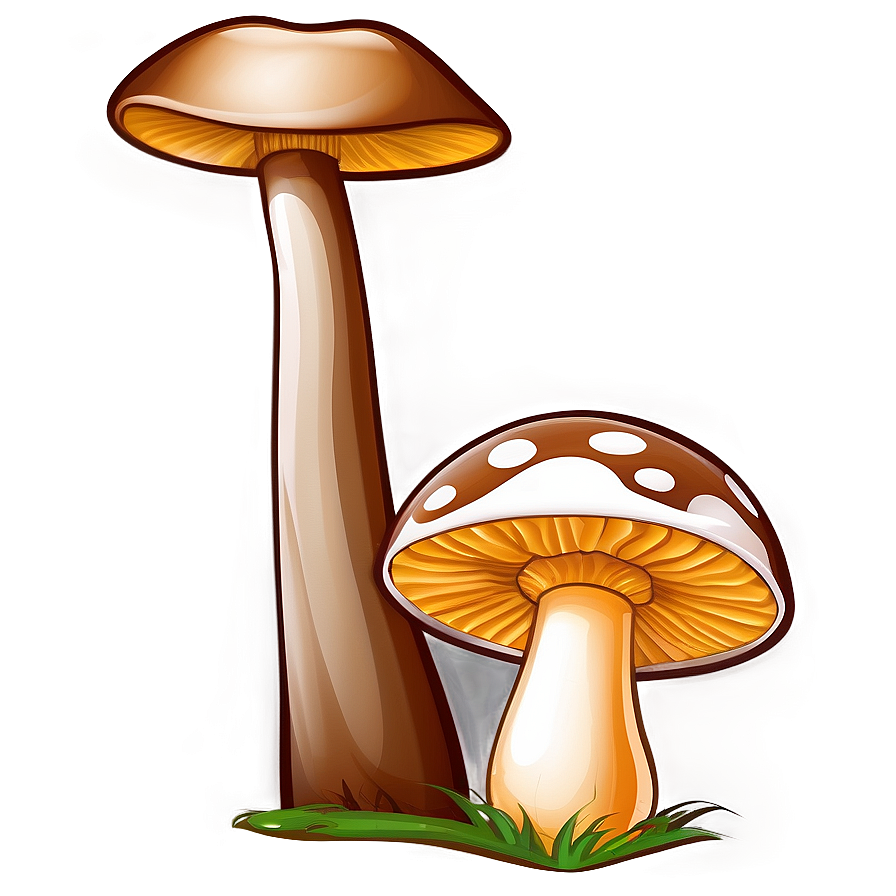 Mushroom Cartoon Drawing Png Npg