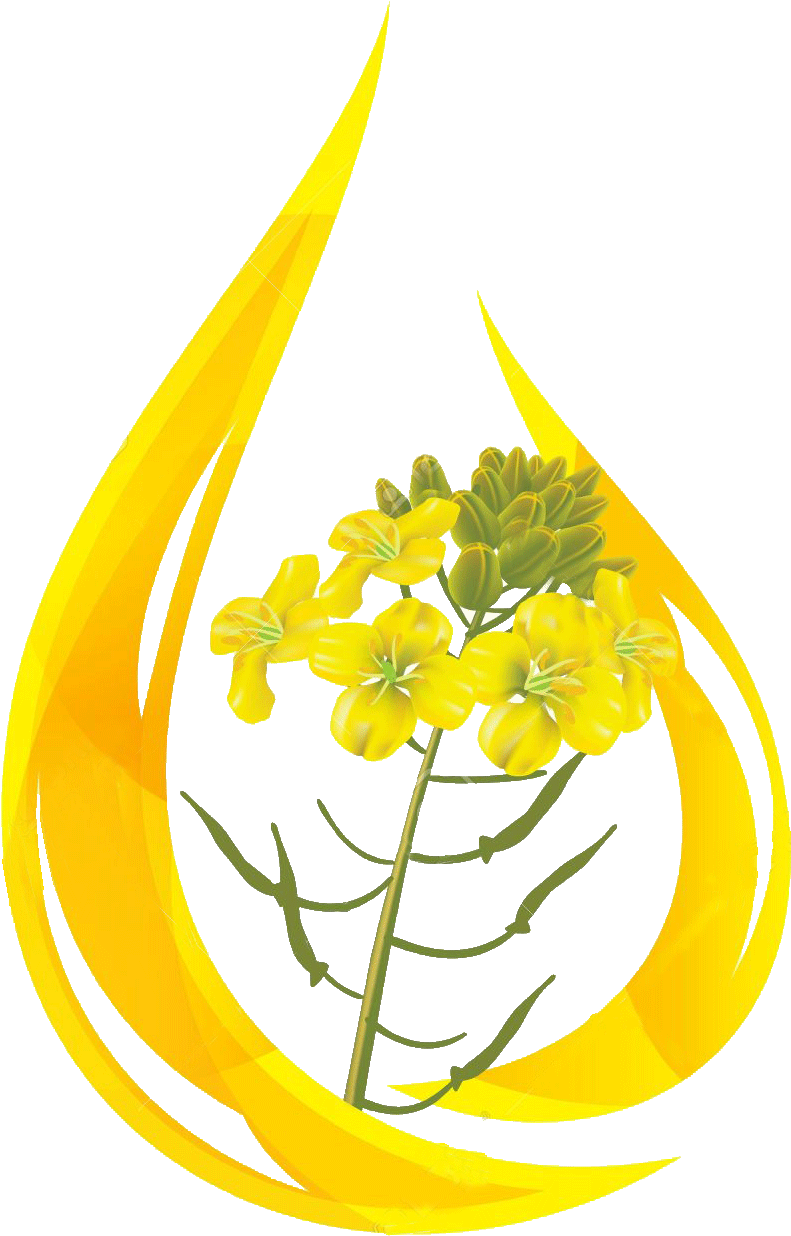 Mustard Flower Flame Graphic