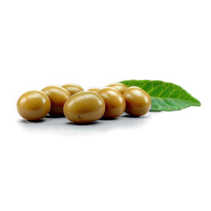 Mustard Seed Png Ypm99