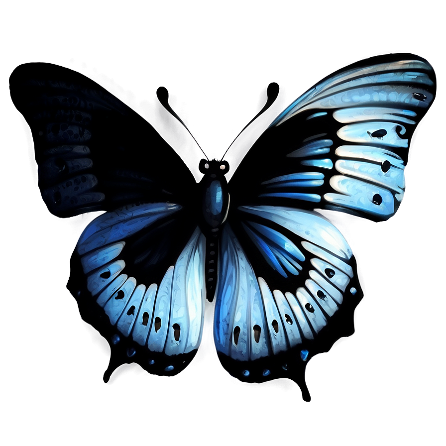 Mysterious Black Butterfly Png Jen7