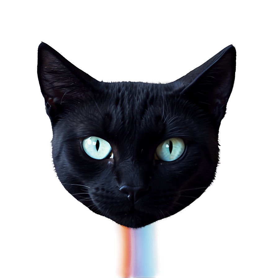 Mysterious Black Cat Head Png 79