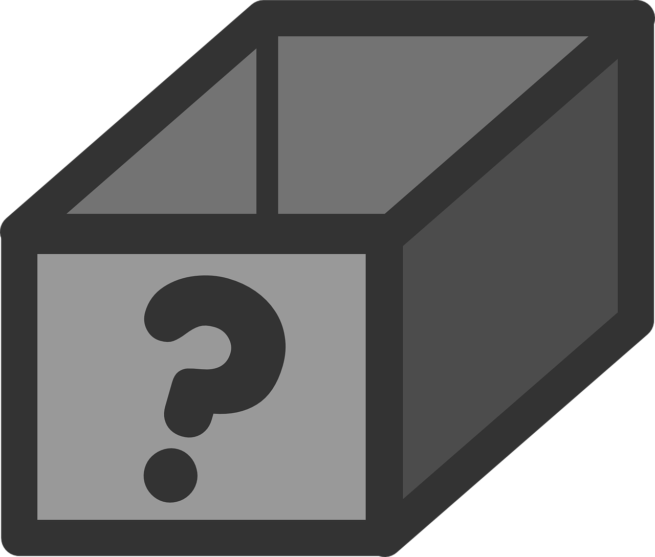 Mystery Black Box Icon