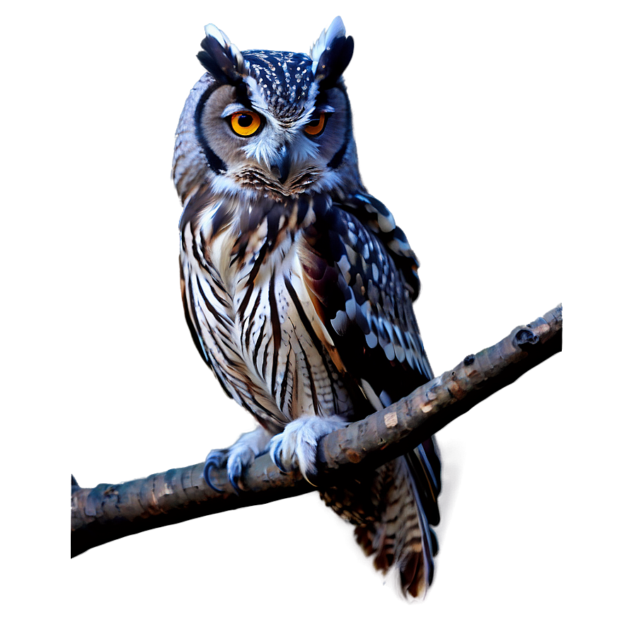 Mystic Owl Png Ome99