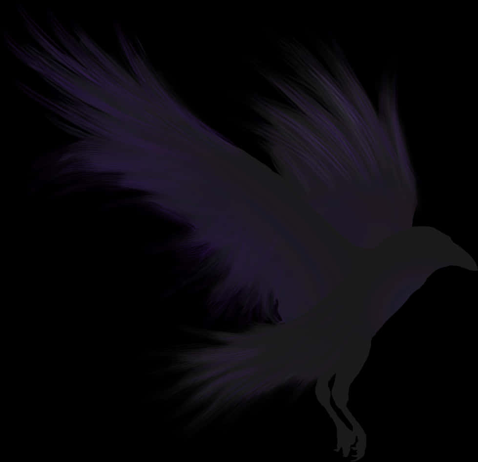 Mystic_ Purple_ Crow_ Art