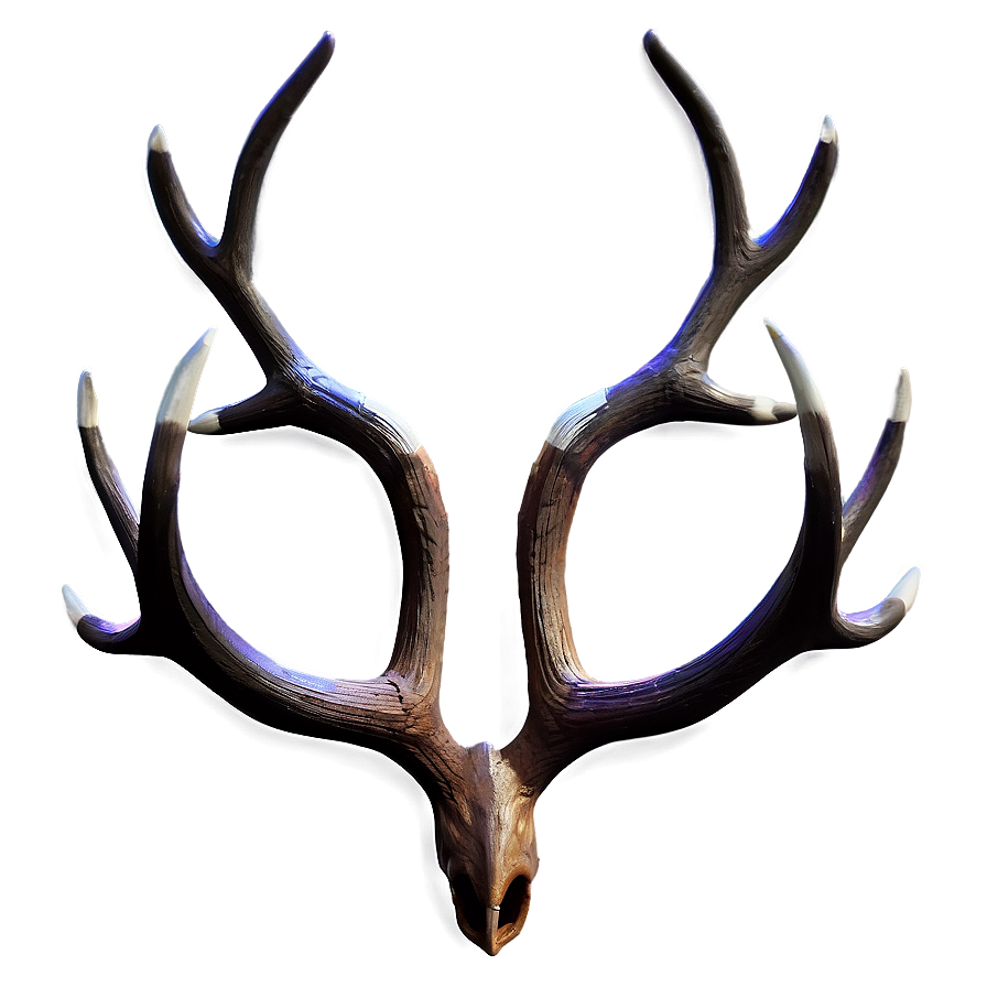 Mystical Antler Png 06212024