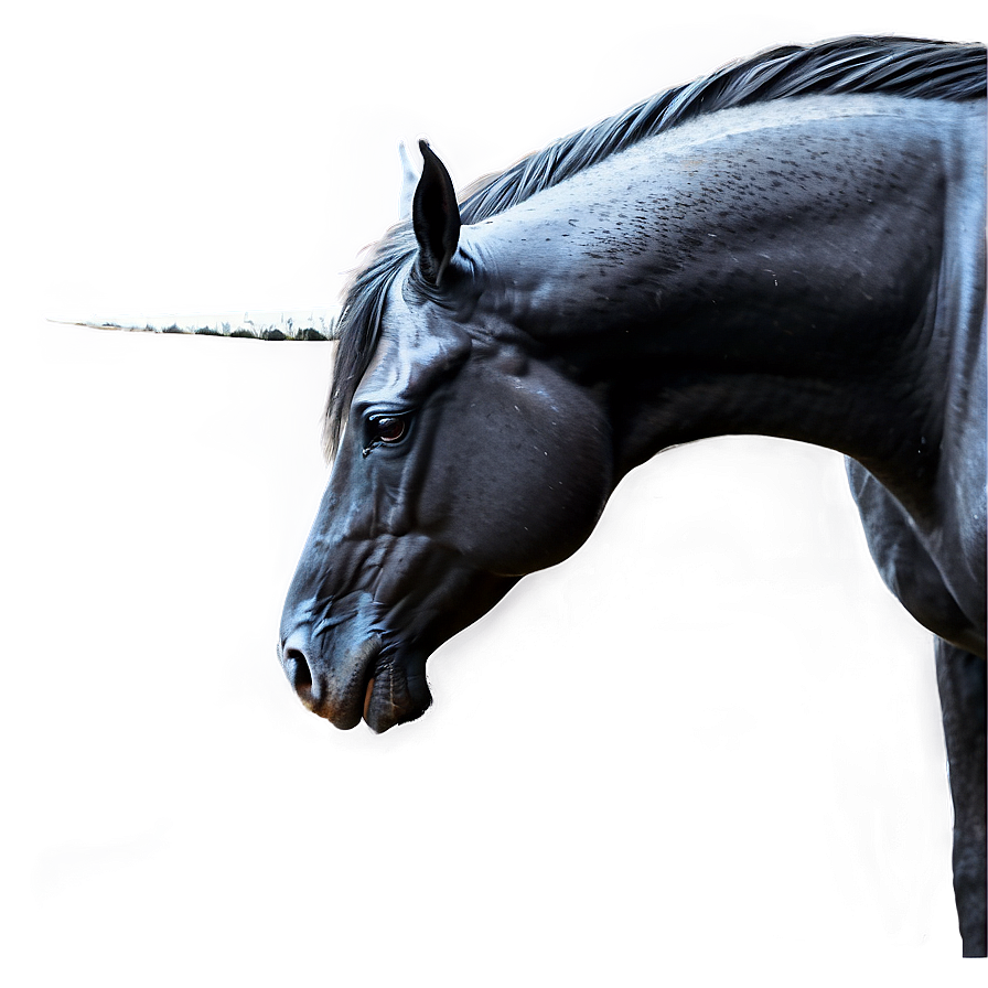 Mystical Black Unicorn Horse Png 06262024