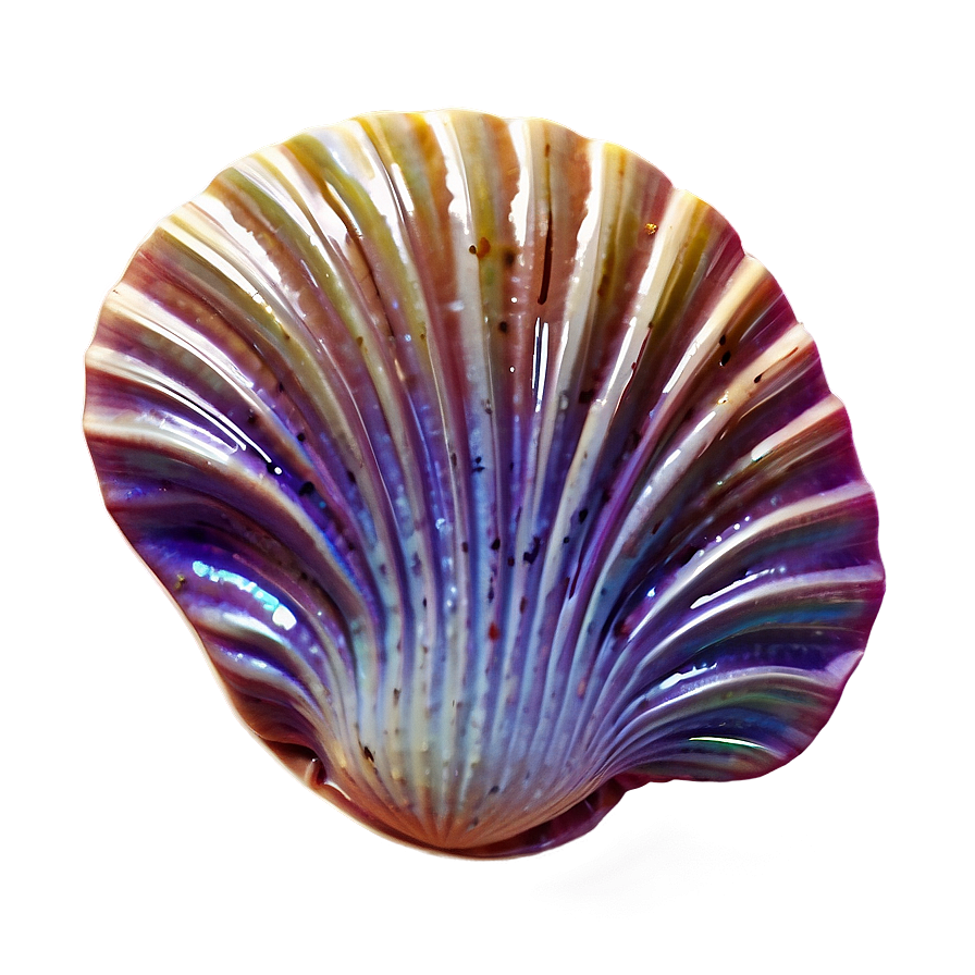 Mystical Clam Oracle Png 05242024