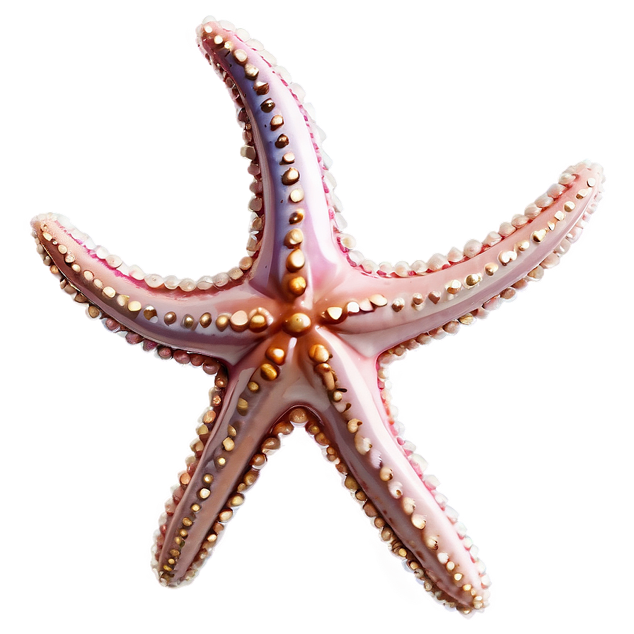 Mystical Starfish Amulet Png Eqd26