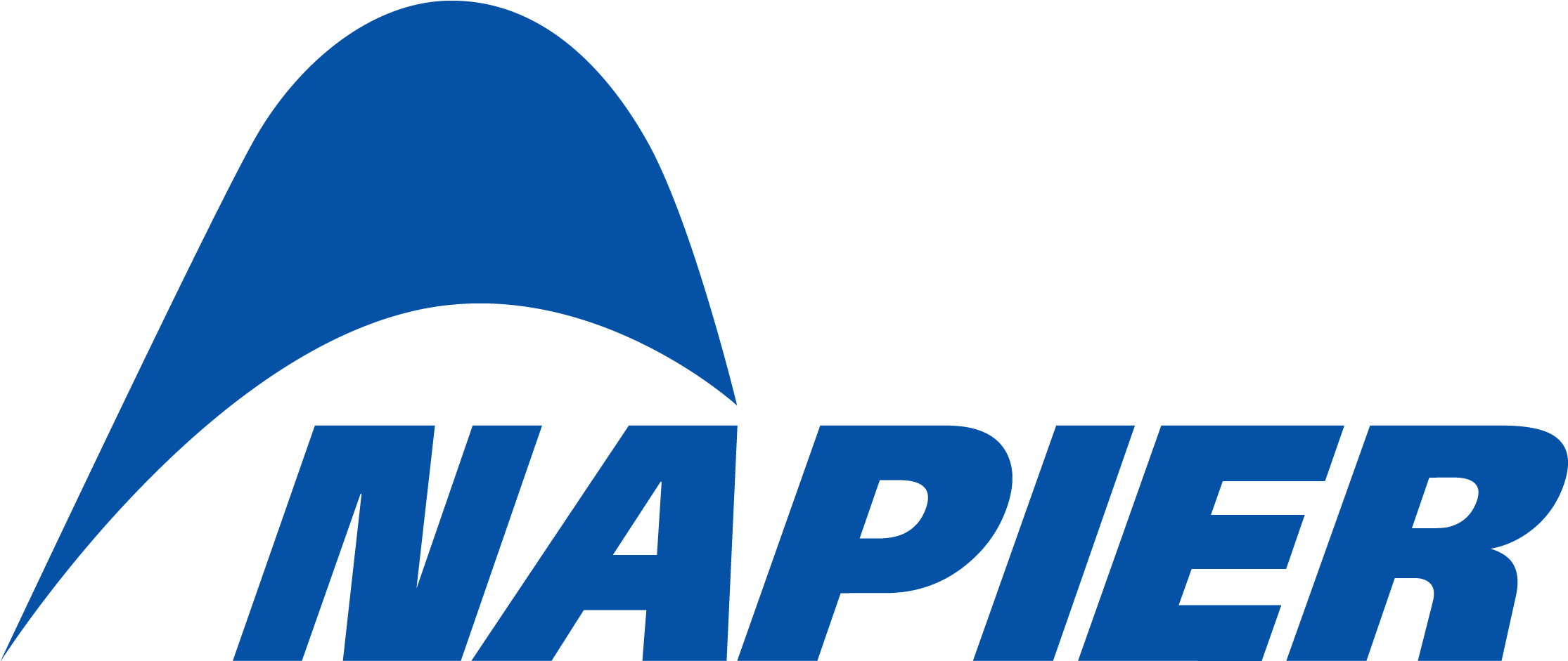 Napier Logo Blue Background