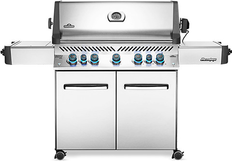 Napoleon Stainless Steel Gas Grill