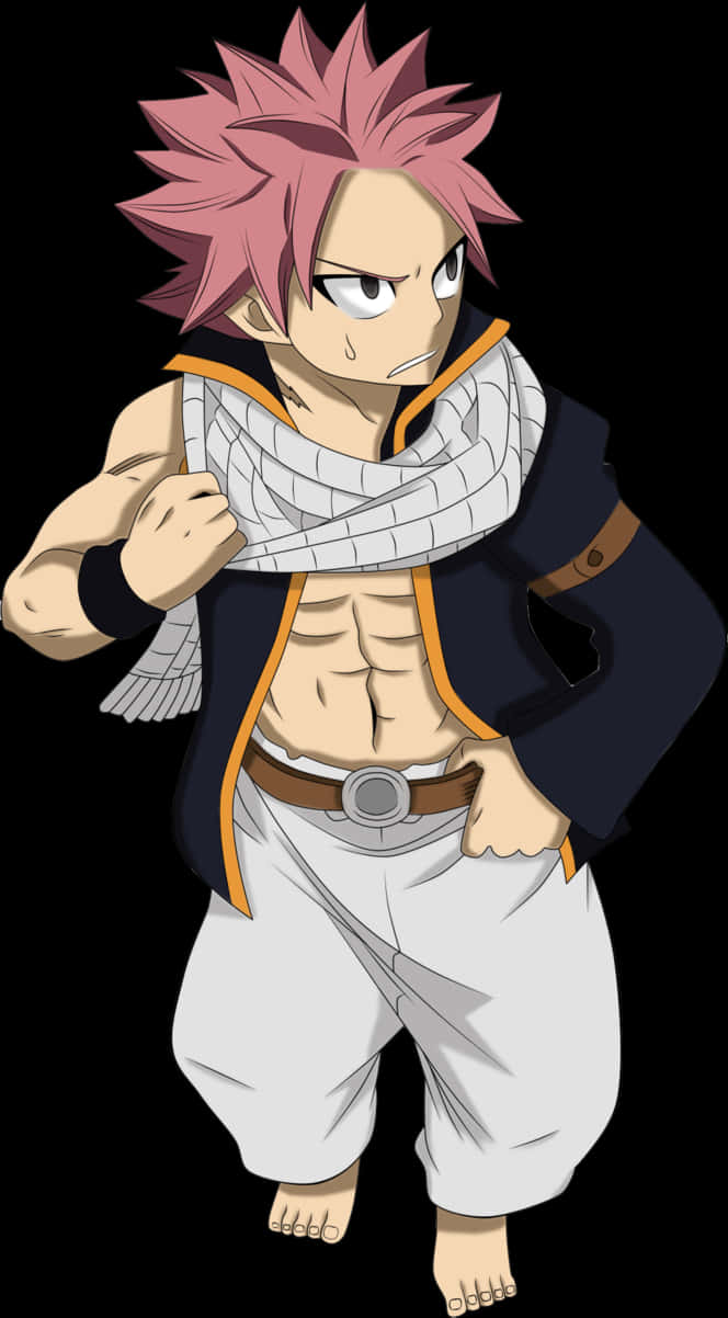 Natsu Dragneel Fairy Tail Stance