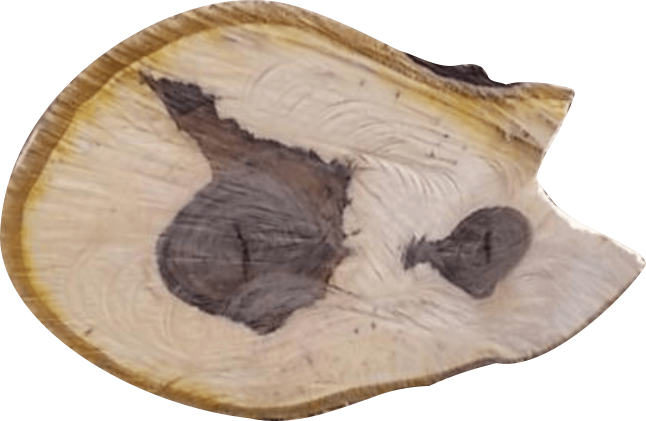 Natural Cross Section Wood Slice.jpg