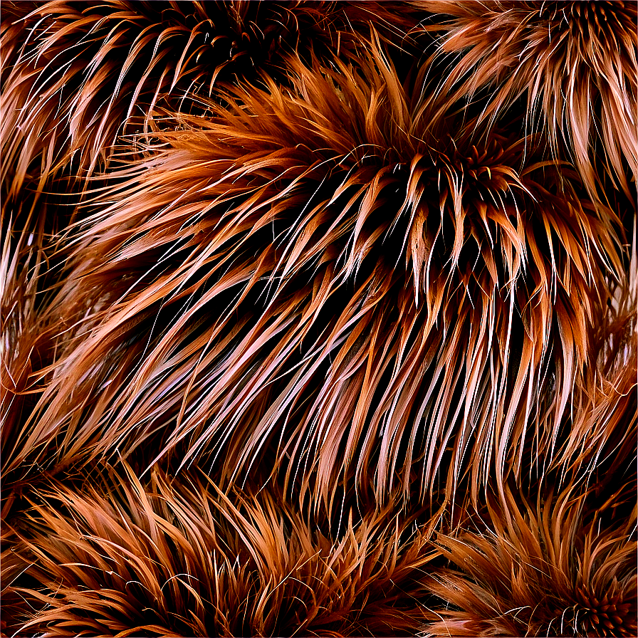 Natural Fur Texture Png Sup49