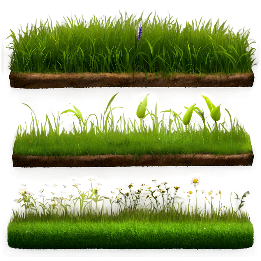 Natural Grass Patch Png 18