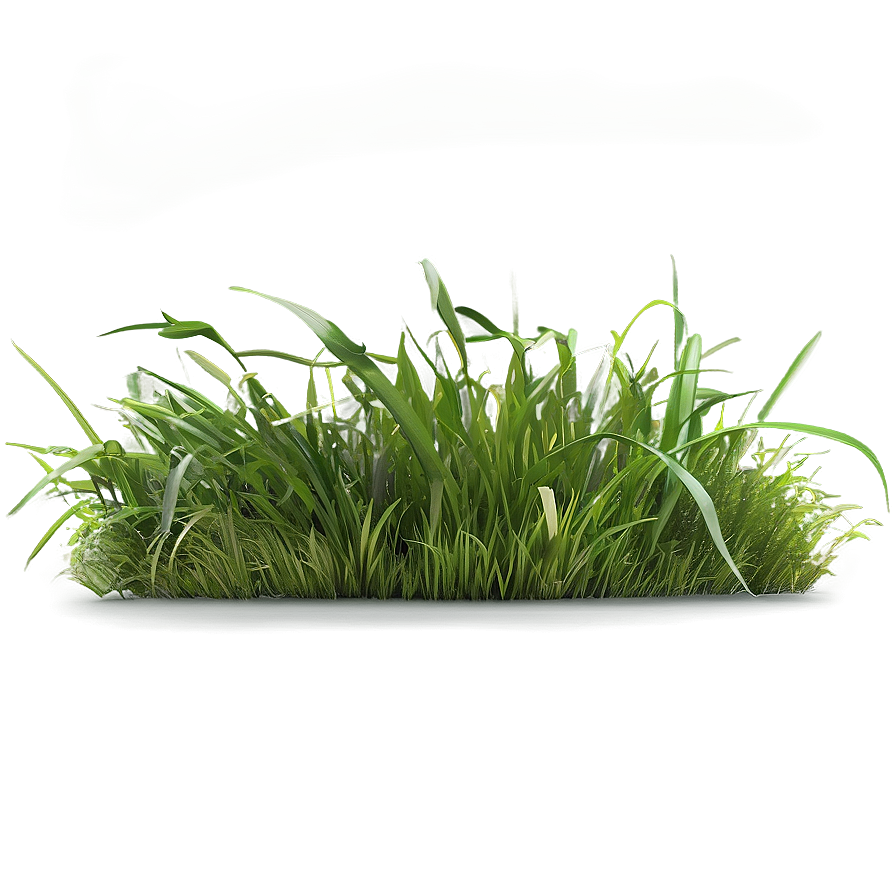 Natural Green Grass Png 53