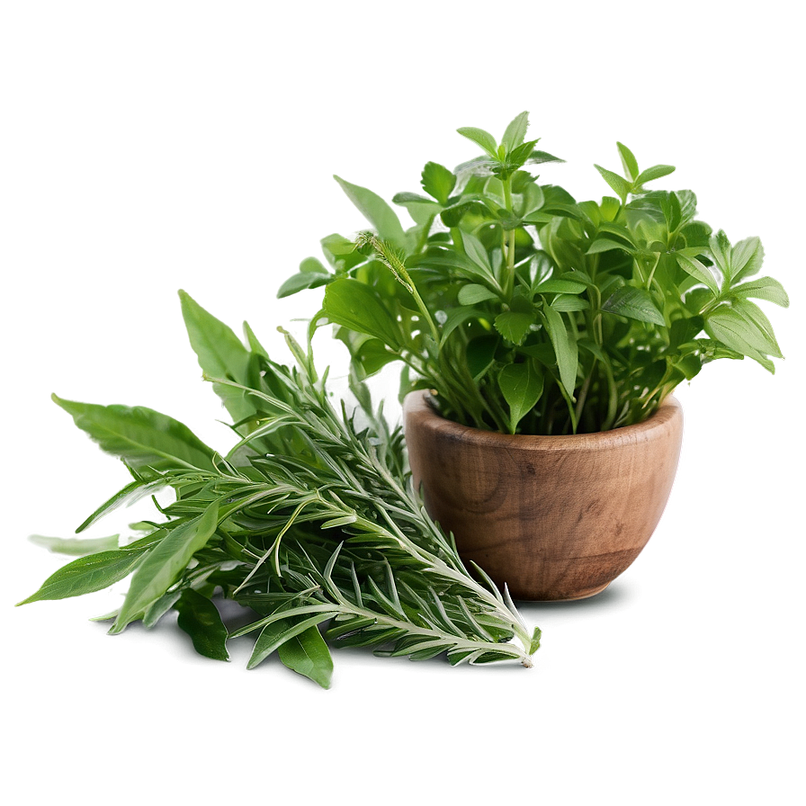 Natural Herb Png 32