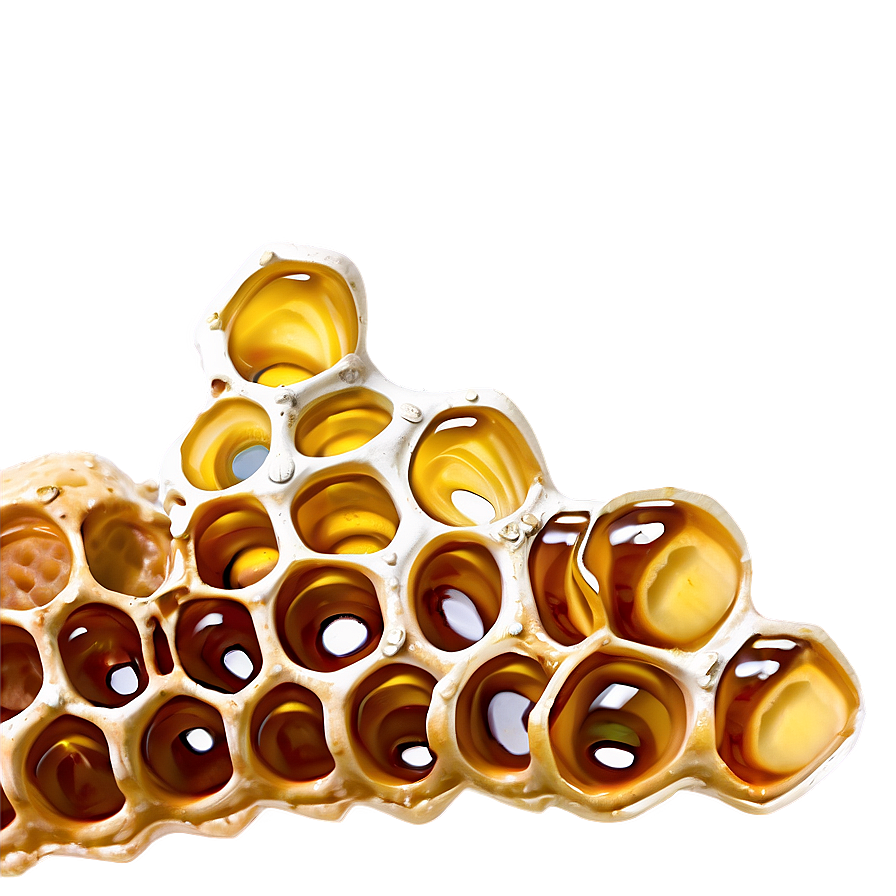 Natural Honeycomb Png 65