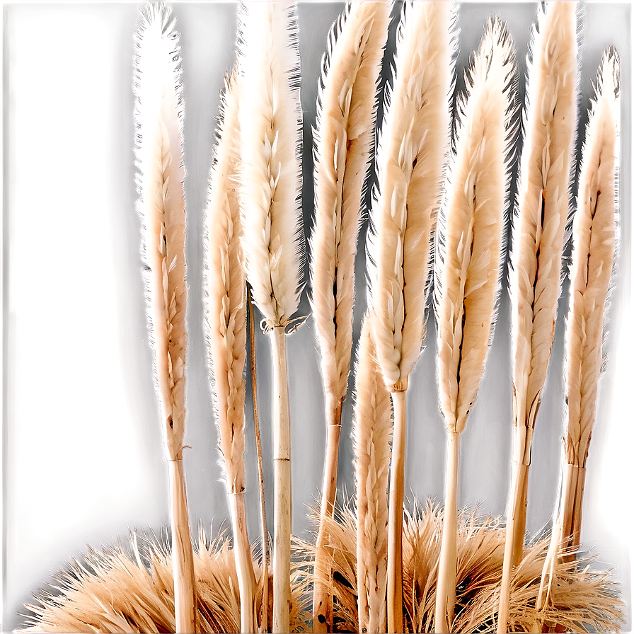 Natural Pampas Arrangement Png Hkj