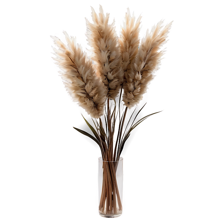 Natural Pampas Arrangement Png Nnv47