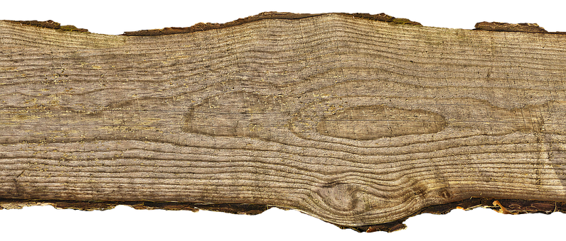 Natural Wood Texture